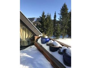 Dream view Comfortable holiday residence - Hahnenklee - 4