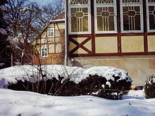 at Bunge Heath Farm - formerly TUI Ferienhaus - Uelzen - 9