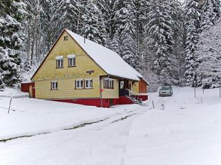 Rappenloch Modern retreat - Eisenbach - 8