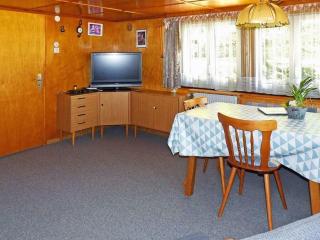 Rappenloch Modern retreat - Eisenbach - 3