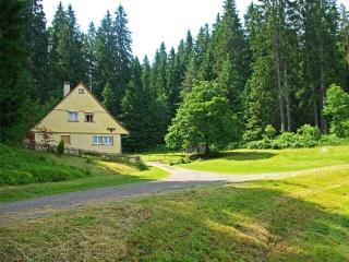 Rappenloch Modern retreat - Eisenbach - 0