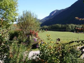 Waterval in het huis Boshoek - 4