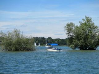 Dennenboomdroom - - 1