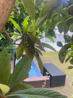 Casa Elisa 10 B - Bellaria-Igea Marina - 6
