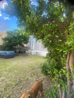 Casa Elisa 10 B - Bellaria-Igea Marina - 0