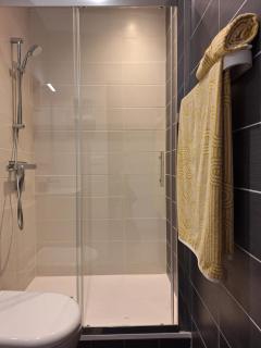 Chambre GUSTAV - Agen - 8