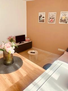 APARTAMENTO 2p MENDIVIL MADRID CENTRO - 7