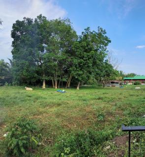 Rumah Bukit - Bukit Pasir - 2