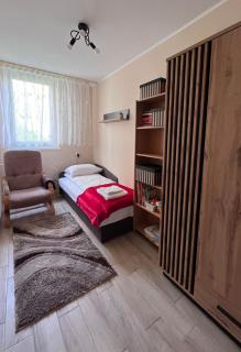 Apartament u Zegarmistrza z garażem - Toruń - 4