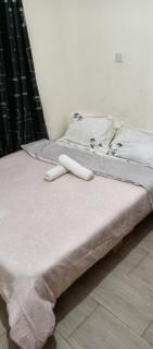 Luxury 1BR - Ruiru - 7
