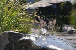 Hotel Traube am See - 1