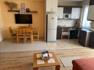 Calm island near the Danube Apartment - free parking - Budapest - 4