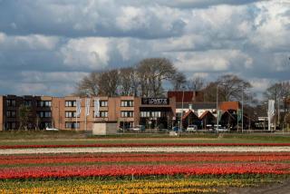 Hotel Lowietje Lisse - Keukenhof - Lisse - 7