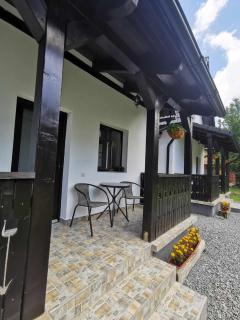 Zöld Tulipán - 5