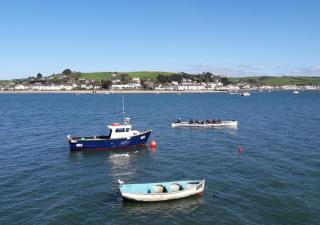 Two Rivers - Appledore - Appledore - 8