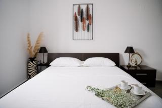 Aerope Inviting Apartment - 9