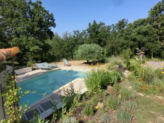 Les Lavandes - Saignon - 8