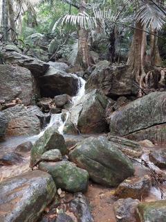 Nila Homestay - Puliyara - 6
