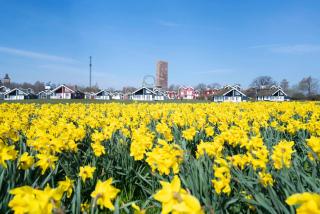 Strandpark Sierksdorf H066 - Sierksdorf - 9