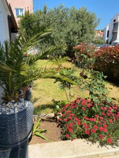 Summer house Pula - Pula - 4