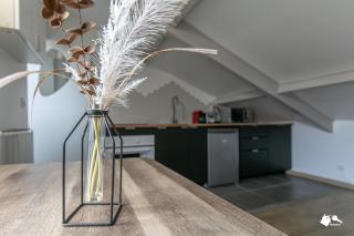 MBA Splendide Appart -Montreuil 2-Proche Vincennes - Montreuil - 3