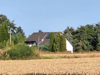 Bergblick-FeWo - Hohenstein-Ernstthal - 0
