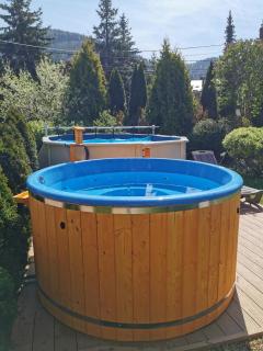 Wieczorek Pokoje Gościnne Całoroczne jacuzzi ogrodowe - 7