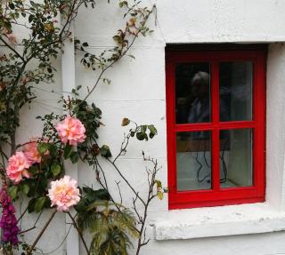 Clooncerna Cottage - Gort - 3