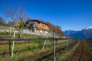Balcone Panoramico sul Garda - Happy Rentals - Tremosine sul Garda - 1