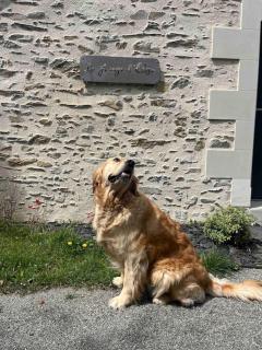 La grange d'Elise - 3