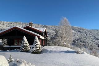 Luxury wooden house "Berg" with outdoor sauna, hot tub and lake view - Øvre Ramse - 0