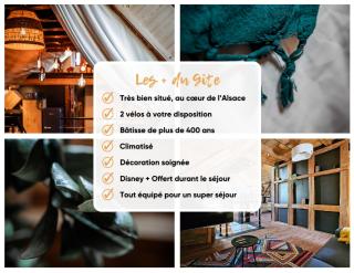 GITES DES ALSACIENNES - loft climatisé dans une maison alsacienne de plus de 400 ans - 2 vélos inclus - WIFI - Dachstein - 5
