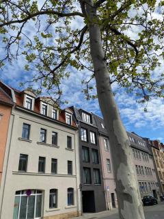 EIWELhome - stilvoll, urban-ruhig schlafen, bahnhofsnah, Balkon - Erfurt - 1