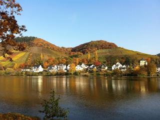 Haus Budinger - Alf - 2