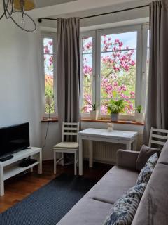 Apartament Magnolia - Sopot - 4