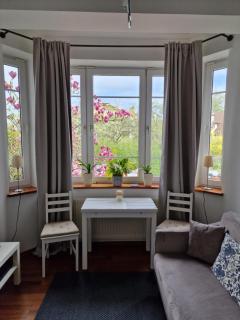 Apartament Magnolia - 0