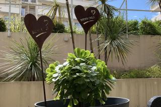 Charming refurbished cocoon with swimming pool - Cannes - 0