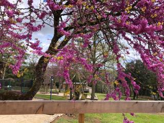 Château de Termes - Martel - 2