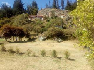 Cabaña los cerezos - 0