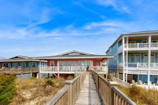 Dowitcher - Holden Beach - 6