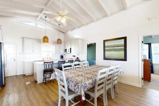 Dowitcher - Holden Beach - 1