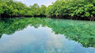 Velero en Isla Linton - 4