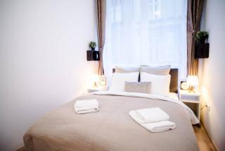Very central spacious AC apartment - Boedapest - 1