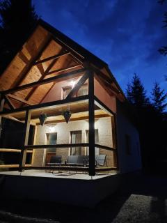 Woodland house ** - Sântimbru-Băi - 9