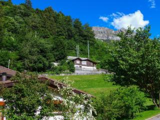 Holiday Home Chalet Guldeli by Interhome - 0