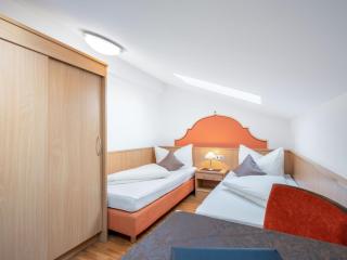 Apartment Rosa-1 by Interhome - Mayrhofen - 1