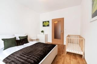 Pleasant & Comfy Apartment in super location - 8