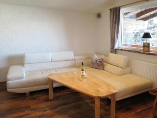 Apartment Daniel by Interhome - Hollersbach im Pinzgau - 9