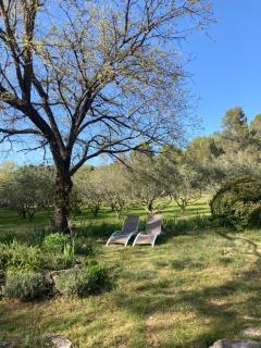 Les Lavandes - Saignon - 4