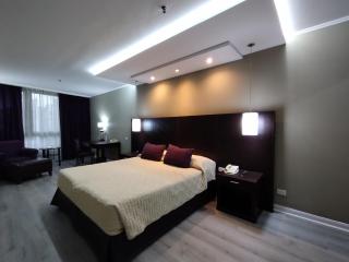 Howard Johnson Plaza by Wyndham Buenos Aires Florida Street - Buenos Aires - 0